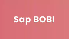 sap-bobi-interview-questions
